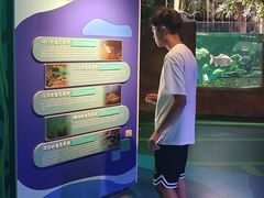 -广州长隆国际大马戏