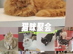 -天虹购物中心(深圳龙华店)