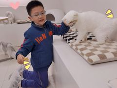 -怪兽屋·羊驼·猫咖·狗咖(俊华广场店)