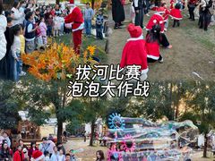 -HERRE·FARM 赫尔露营农场·团建聚会包场