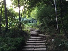 -大连植物园