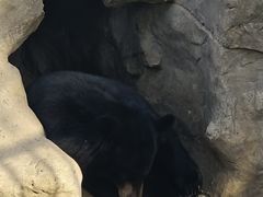 -石家庄市动物园