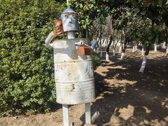 -祥源·阜阳生态乐园