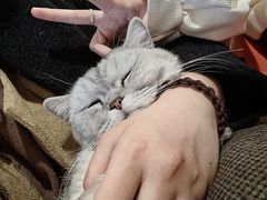 -平行世界·猫咖(首经贸店)