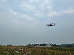 -空港花田景区