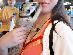 -清迈夜间动物园