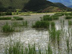 -泸沽湖国家级风景名胜区走婚桥