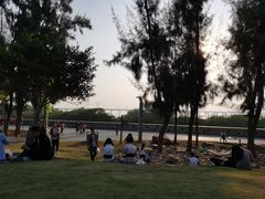 -宝安西湾红树林湿地公园