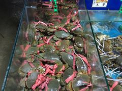 -都斛海鲜街
