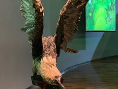 -陕西自然博物馆