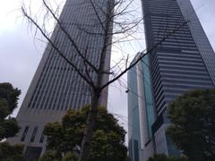 -喷泉公园