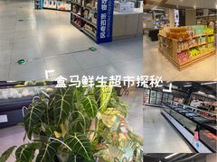 -盒马鲜生(杭州运河上街店)
