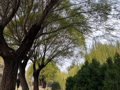 -元大都城垣遗址公园