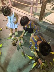 -酷嗒动物文化乐园(cutezoo西溪乐天城店)