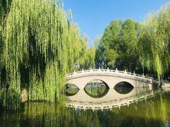 -阿尔丁植物园