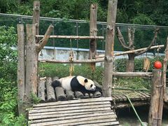 -黔灵山公园-南门售票处