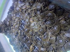 -聚盛源蒸汽海鲜火锅烤肉自助(巨川金海岸购物广场店)