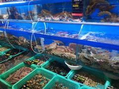 -船梆煮•蒸汽海鲜·炉火烤肉(五四广场店)