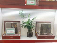 -晓芹海参(望京西园店)