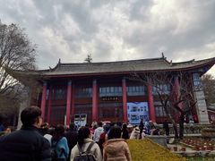 -总统兵马大元帅府