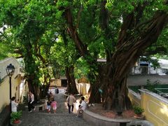 -龙环葡韵住宅式博物馆