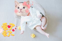 -可优蜜儿童摄影