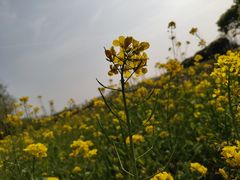 -艾溪湖湿地公园