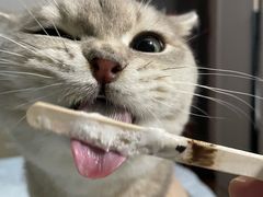 -宠颐生汉谟拉比宠物医院