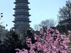 -重庆园博园