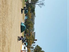-上海吴淞炮台湾国家湿地公园