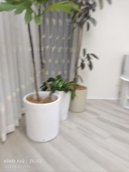 -HEYAN荷妍专业脱毛连锁机构