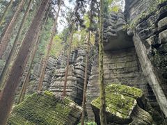 -梭布垭石林景区