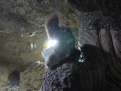 -长鹿旅游休博园