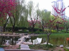 -木塔寺遗址生态公园