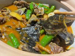 口味甲鱼-湘里乡亲甲王二老店