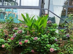 -宅里香.自然餐厅(湘大店)