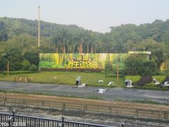 -深圳野生动物园