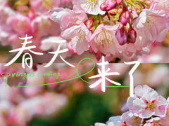 -静安雕塑公园