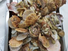 海鲜三宝-北戴河庆山饭店·海鲜砂锅粥(北戴河黑石路店)