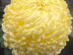 -我嘉书房(南翔名士居店)