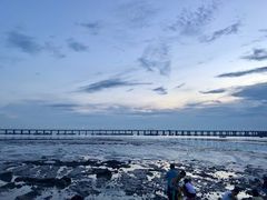 -宝安西湾红树林湿地公园