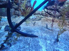 -上海海洋水族馆