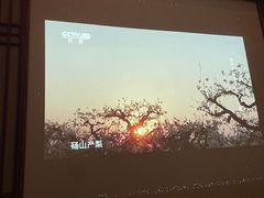 -臻品足道(后湖店)