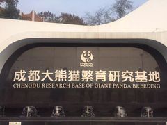 -成都大熊猫繁育研究基地