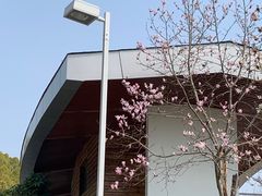 -白塘生态植物园