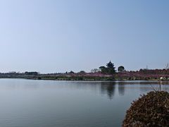 -上海海湾国家森林公园