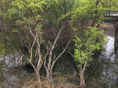 -西湖风景区-江洋畈生态公园