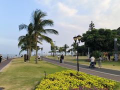 -野狸岛