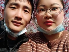 -林屋梅海青梅保护基地