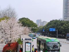 -东北特色菜馆(珞喻东路店)